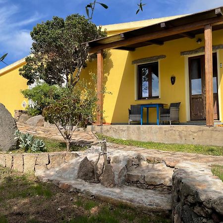 Agriturismo Campesi Casale Tra Le Vigne 阿列恩图 外观 照片