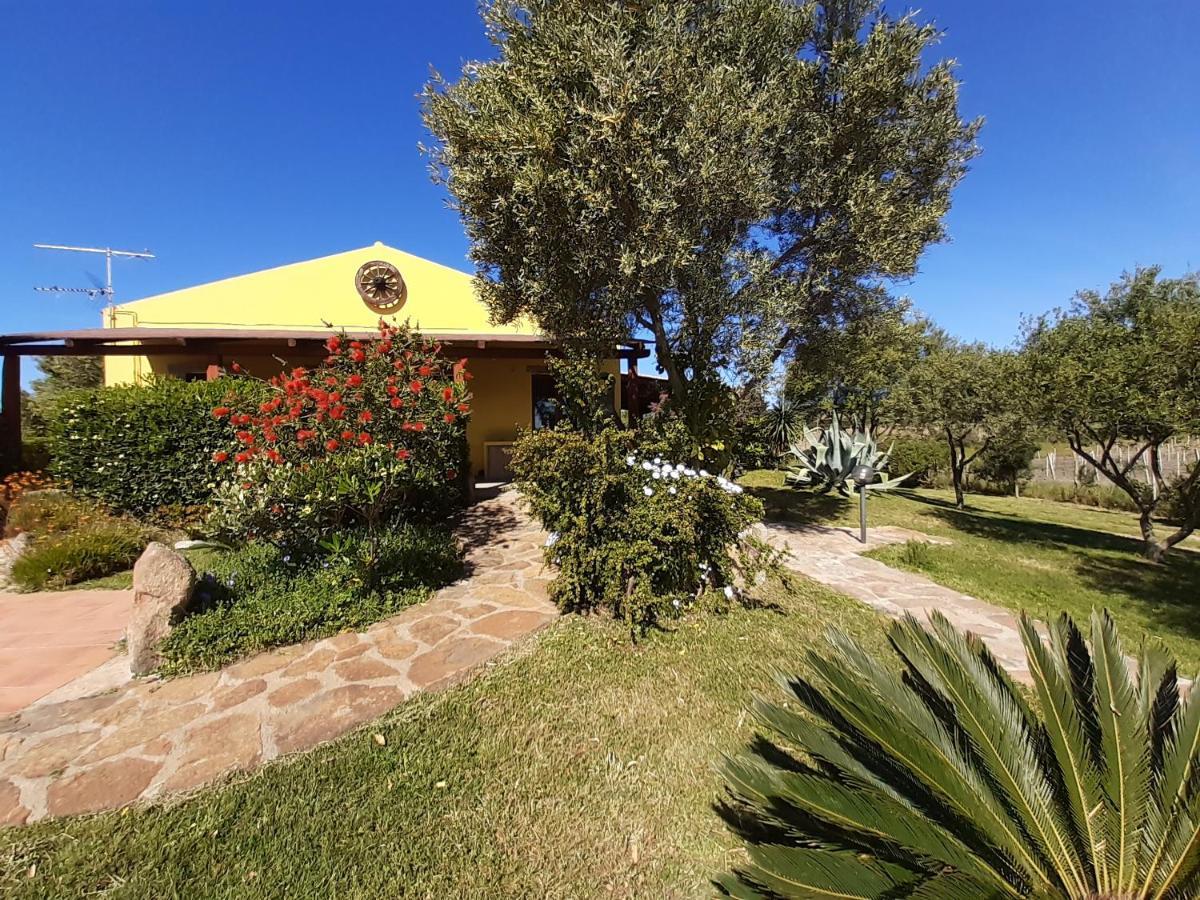 Agriturismo Campesi Casale Tra Le Vigne 阿列恩图 外观 照片