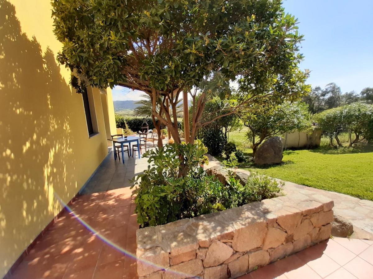 Agriturismo Campesi Casale Tra Le Vigne 阿列恩图 外观 照片