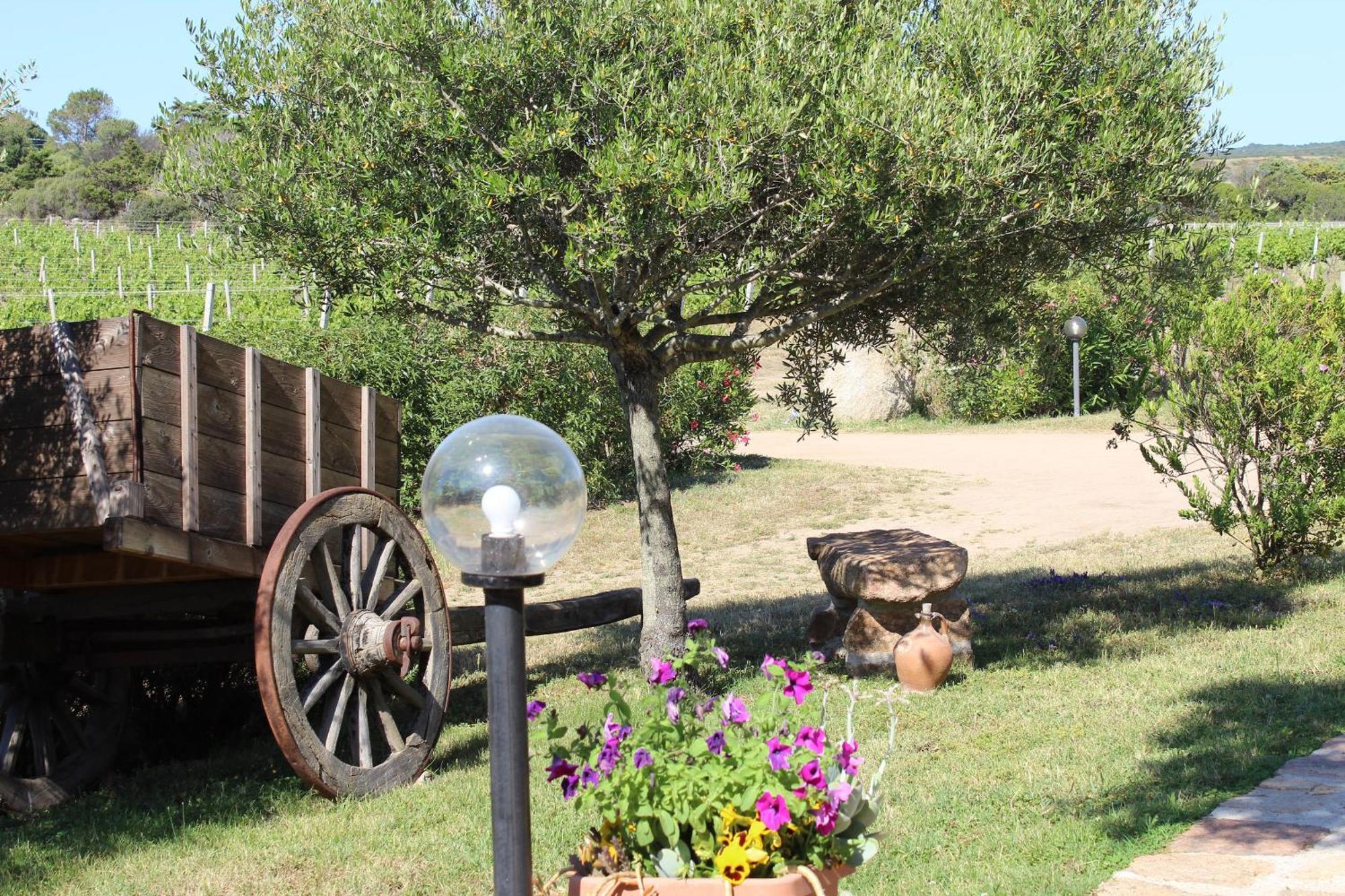 Agriturismo Campesi Casale Tra Le Vigne 阿列恩图 外观 照片