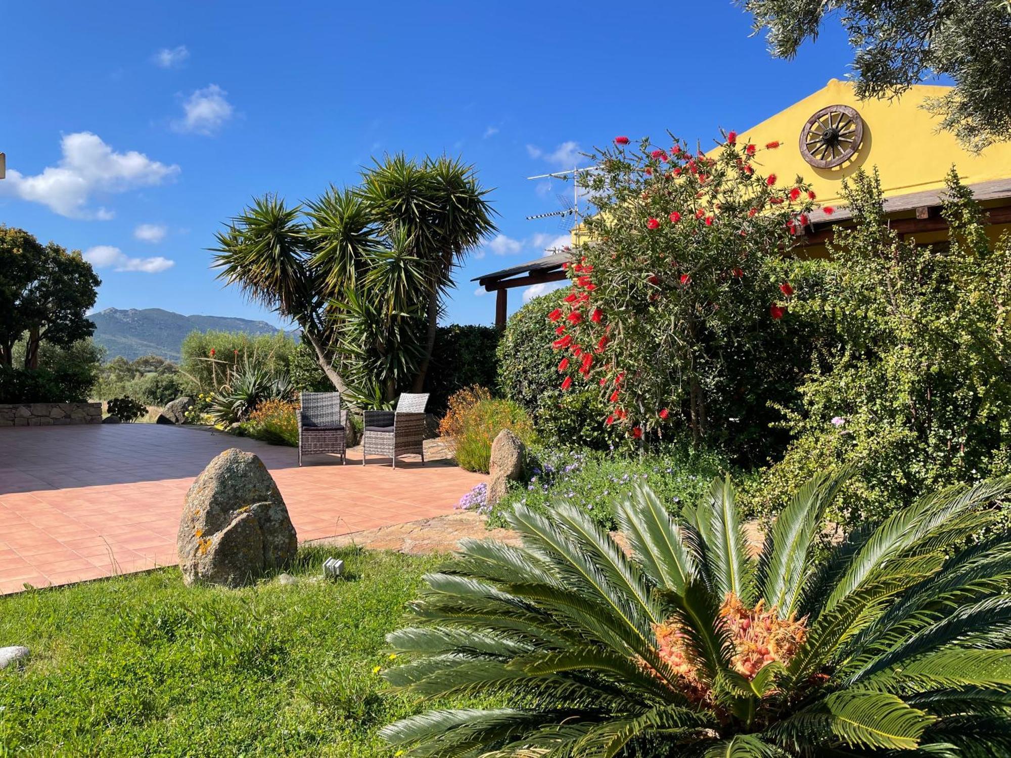 Agriturismo Campesi Casale Tra Le Vigne 阿列恩图 外观 照片