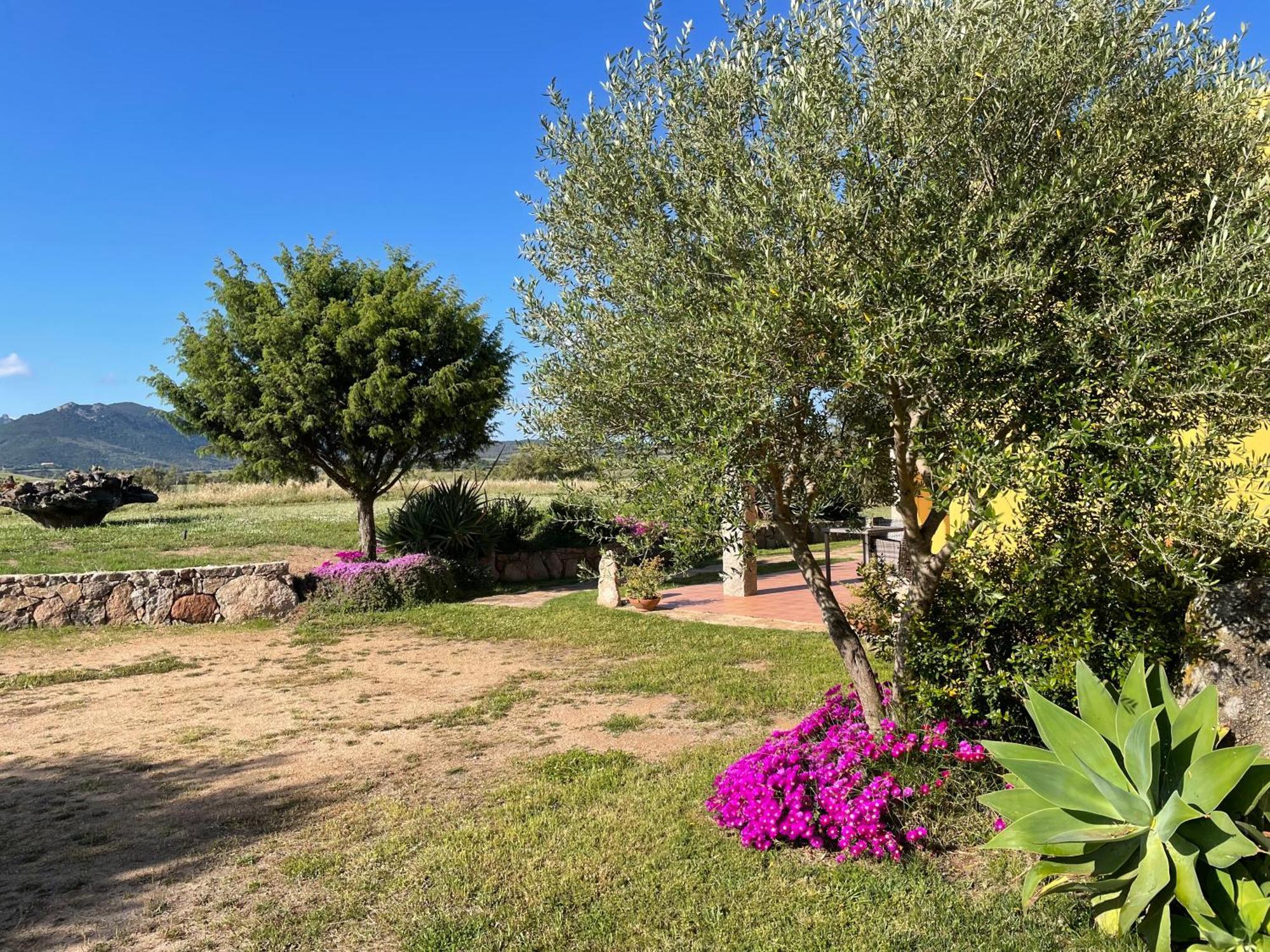 Agriturismo Campesi Casale Tra Le Vigne 阿列恩图 外观 照片