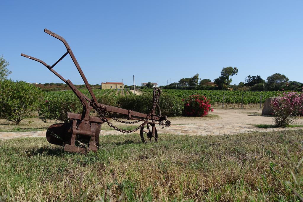 Agriturismo Campesi Casale Tra Le Vigne 阿列恩图 外观 照片