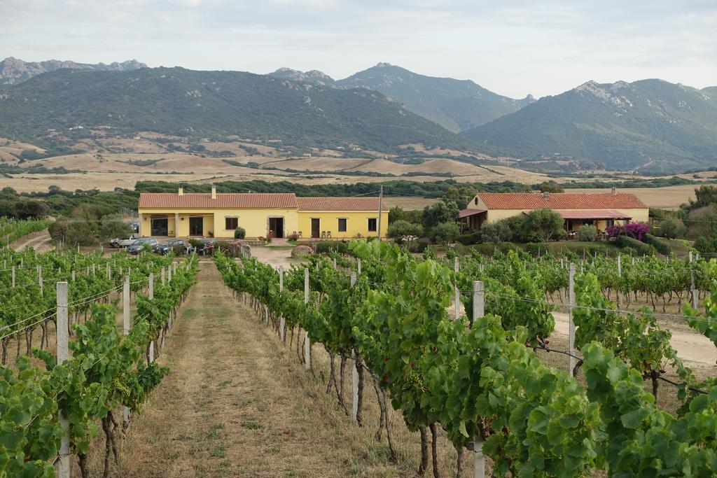 Agriturismo Campesi Casale Tra Le Vigne 阿列恩图 外观 照片
