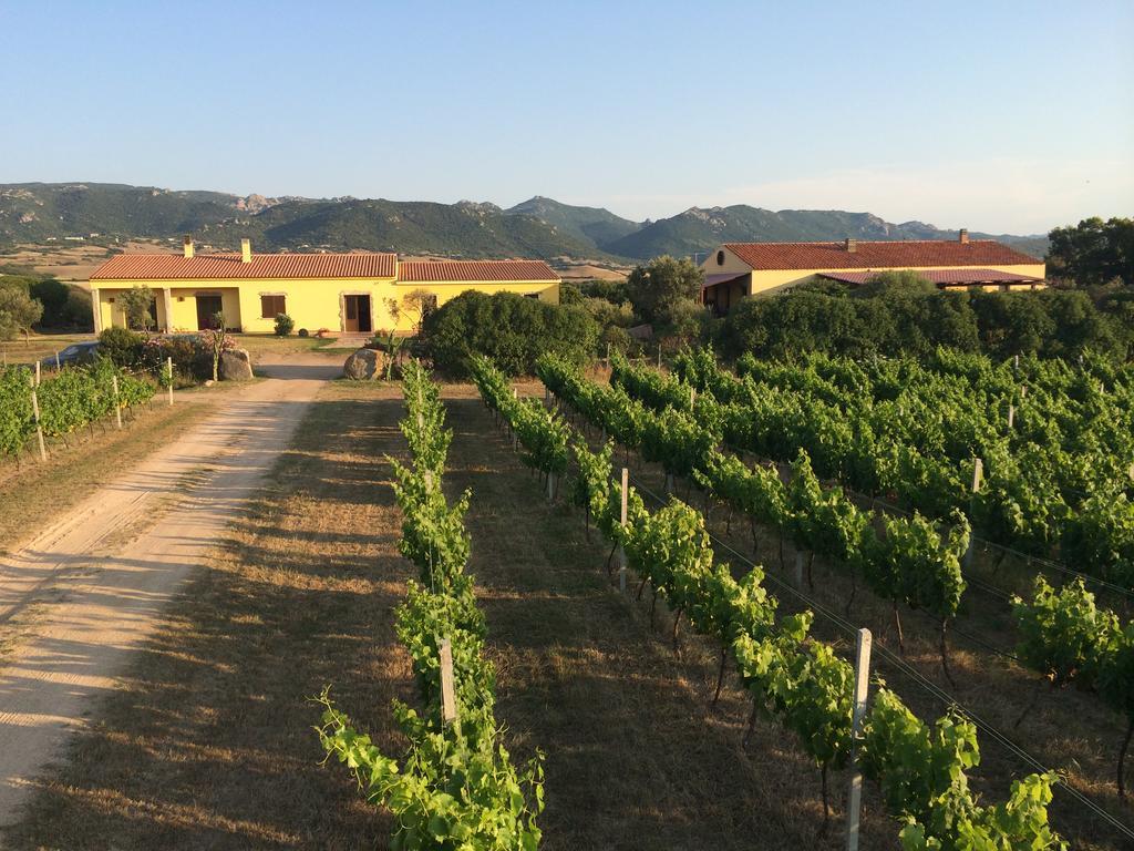 Agriturismo Campesi Casale Tra Le Vigne 阿列恩图 外观 照片