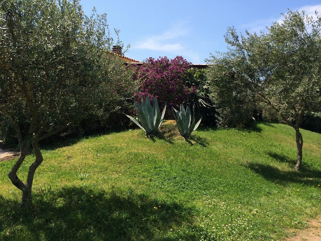 Agriturismo Campesi Casale Tra Le Vigne 阿列恩图 外观 照片