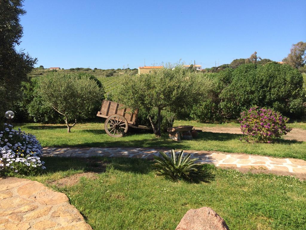 Agriturismo Campesi Casale Tra Le Vigne 阿列恩图 外观 照片