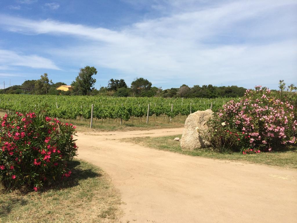 Agriturismo Campesi Casale Tra Le Vigne 阿列恩图 外观 照片