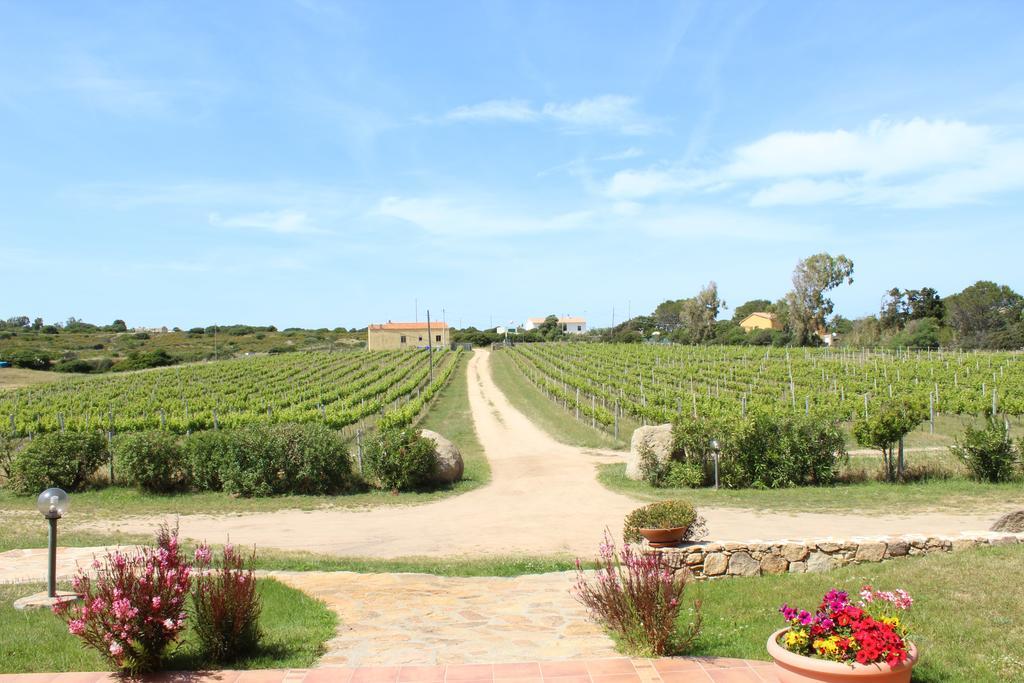 Agriturismo Campesi Casale Tra Le Vigne 阿列恩图 外观 照片