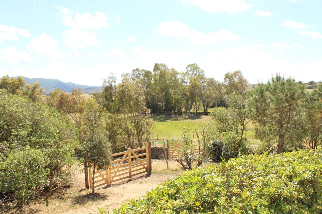 Agriturismo Campesi Casale Tra Le Vigne 阿列恩图 外观 照片