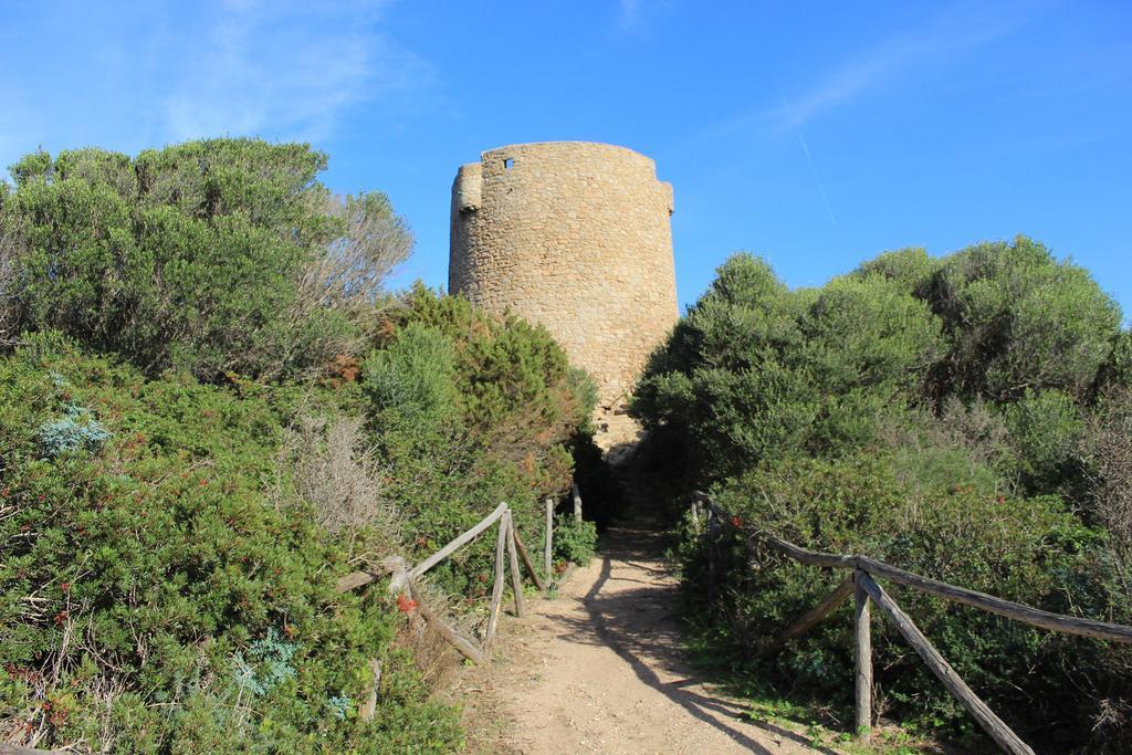 Agriturismo Campesi Casale Tra Le Vigne 阿列恩图 外观 照片