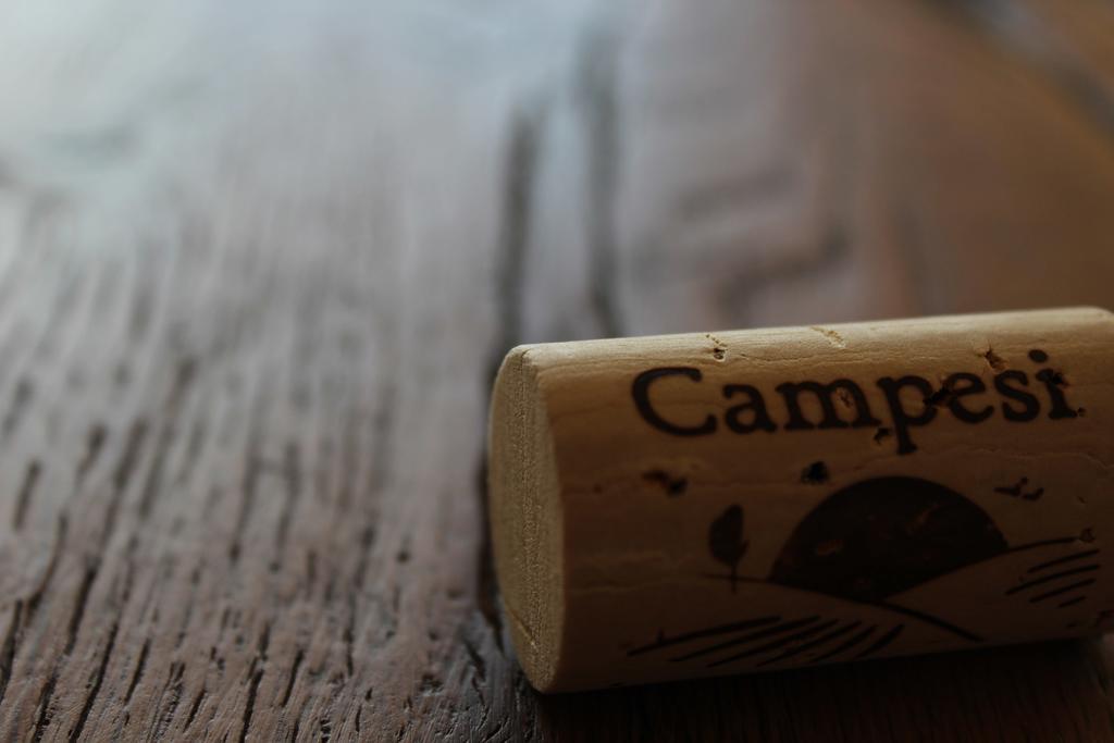 Agriturismo Campesi Casale Tra Le Vigne 阿列恩图 外观 照片