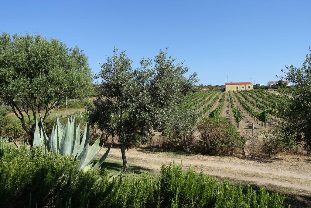 Agriturismo Campesi Casale Tra Le Vigne 阿列恩图 外观 照片