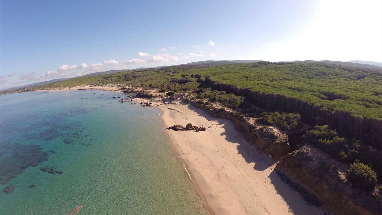 Agriturismo Campesi Casale Tra Le Vigne 阿列恩图 外观 照片