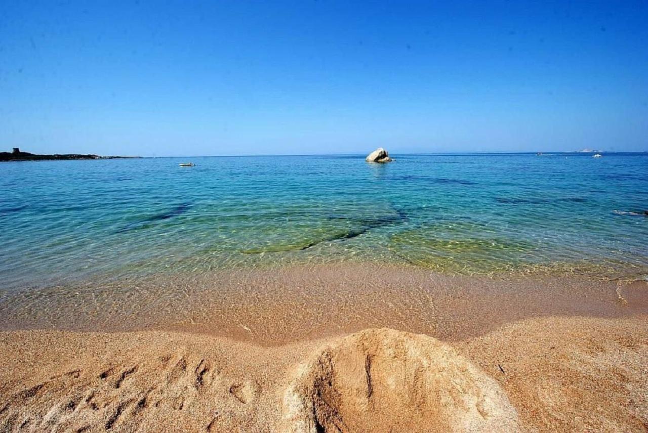 Agriturismo Campesi Casale Tra Le Vigne 阿列恩图 外观 照片