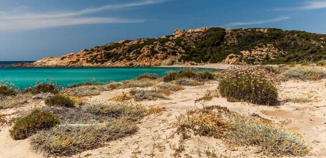 Agriturismo Campesi Casale Tra Le Vigne 阿列恩图 外观 照片