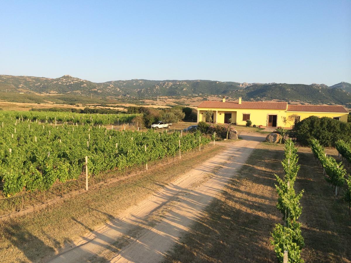 Agriturismo Campesi Casale Tra Le Vigne 阿列恩图 外观 照片
