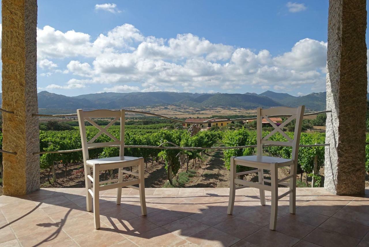 Agriturismo Campesi Casale Tra Le Vigne 阿列恩图 外观 照片