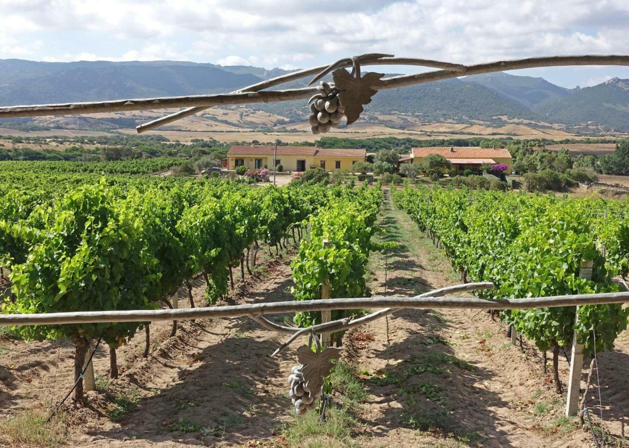 Agriturismo Campesi Casale Tra Le Vigne 阿列恩图 外观 照片