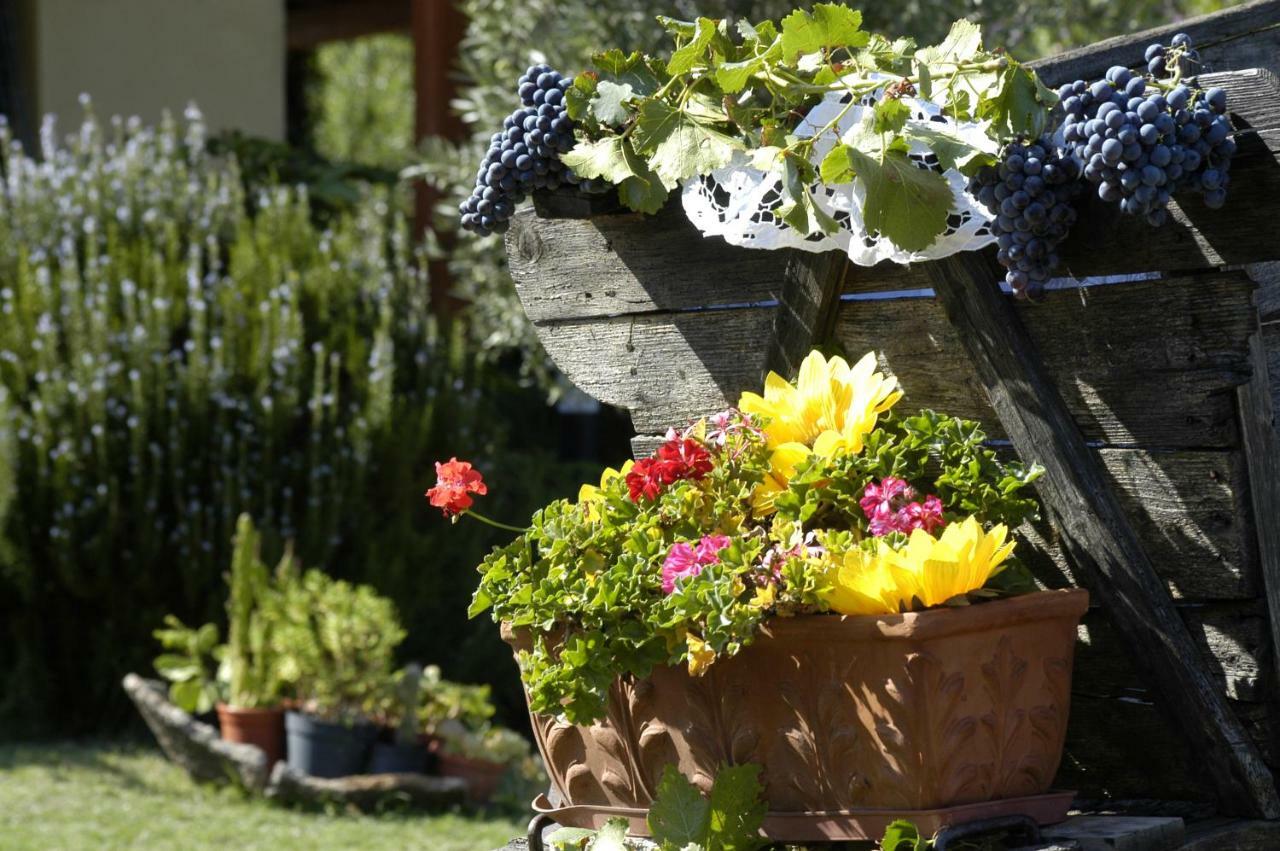 Agriturismo Campesi Casale Tra Le Vigne 阿列恩图 外观 照片
