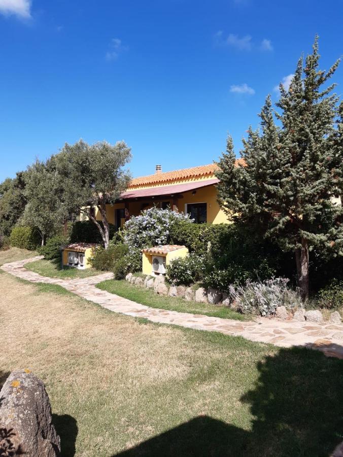 Agriturismo Campesi Casale Tra Le Vigne 阿列恩图 外观 照片