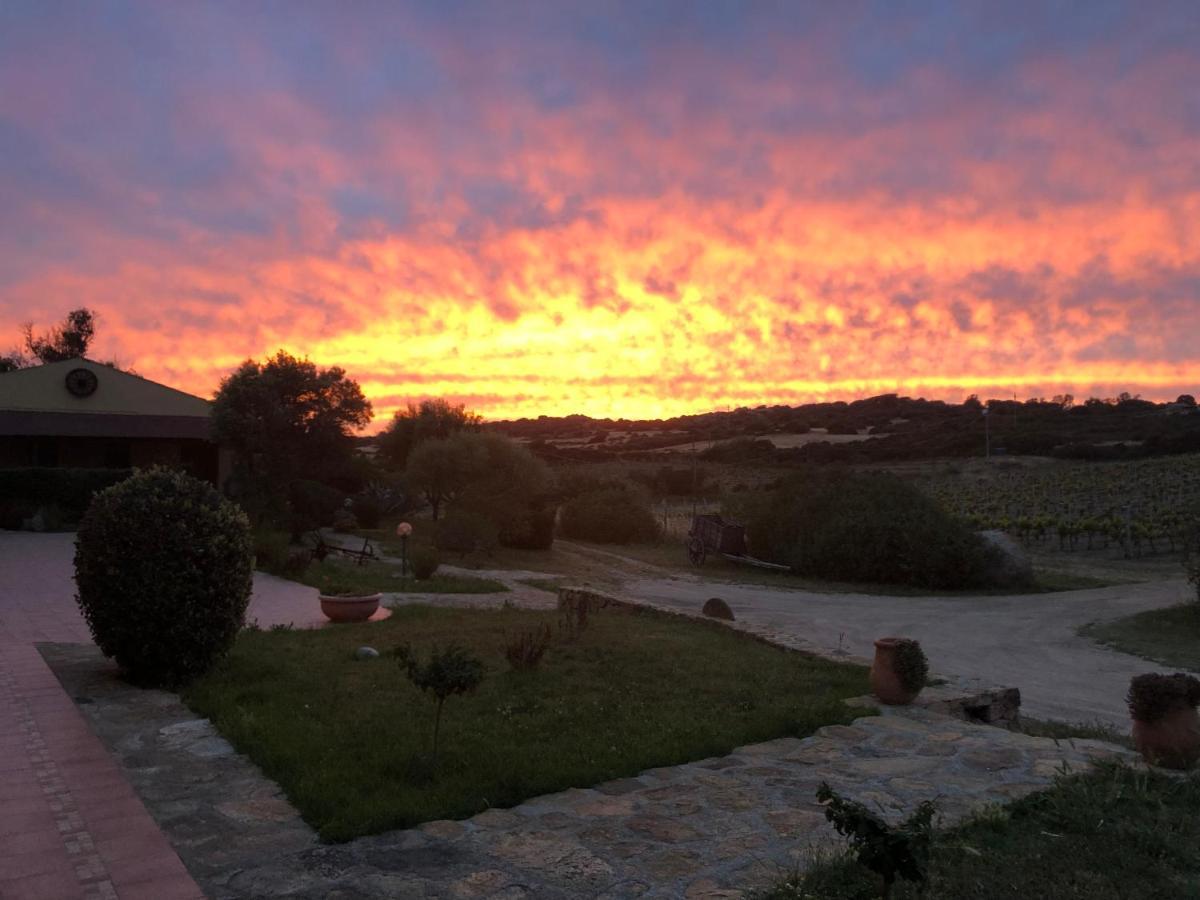 Agriturismo Campesi Casale Tra Le Vigne 阿列恩图 外观 照片