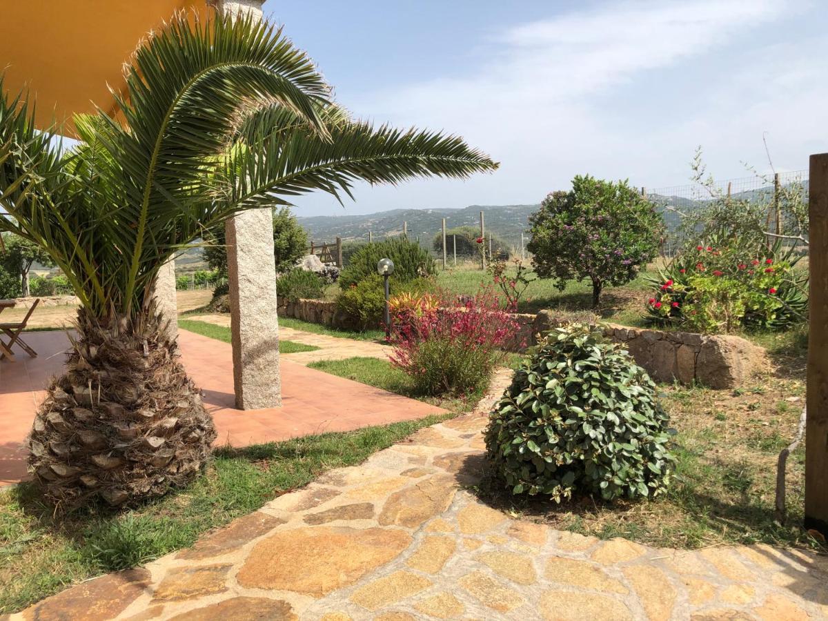 Agriturismo Campesi Casale Tra Le Vigne 阿列恩图 外观 照片