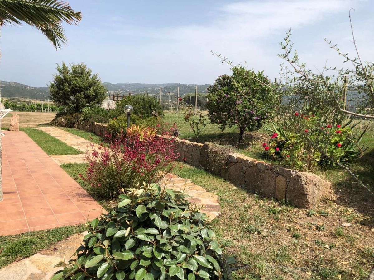 Agriturismo Campesi Casale Tra Le Vigne 阿列恩图 外观 照片